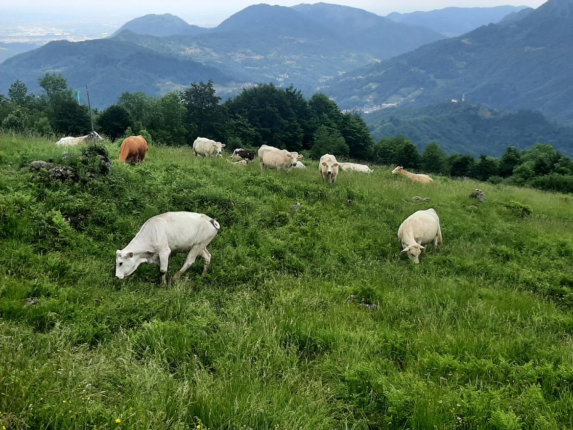 Immagine: 20230615_142054