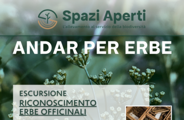 "Andar per erbe" il nuovo appuntamento della rassegna "Spazi Aperti"
