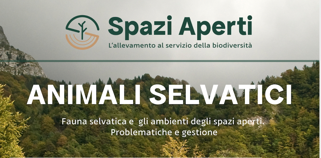 Immagine: animali_selvatici