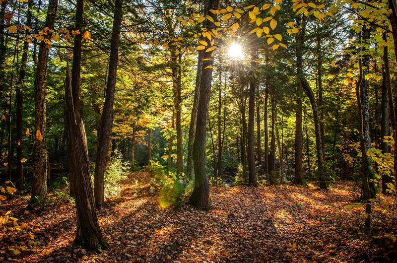 Nuovo bando “Green Communities”, primi in italia. E l’Unione Montana raddoppia