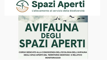 “SPAZI APERTI” propone un corso per tecnici forestali “SPAZI APERTI” propone un corso per tecnici forestali