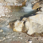 Immagine: Fonti e qualità delle acque