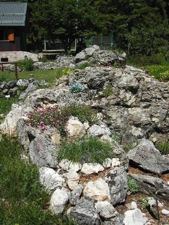 Giardino Botanico Alpino San Marco
