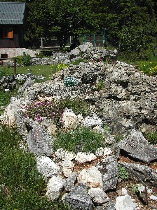 Immagine: giardino_alpino