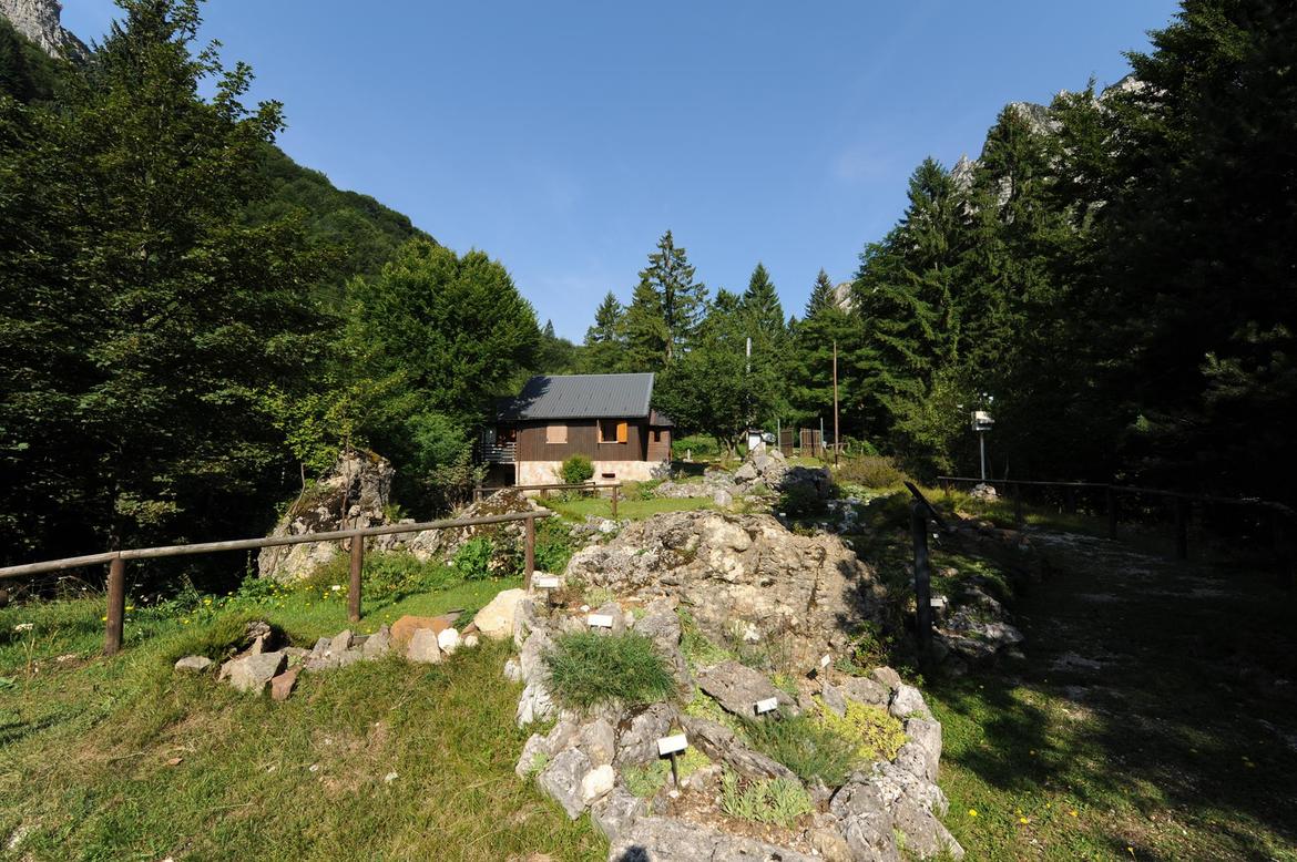 Immagine: giardino_alpino