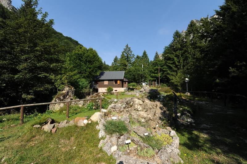 Riapre per la stagione estiva il giardino botanico alpino "Pasubio"