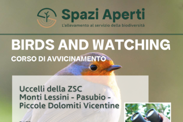Bird and Watching, un nuovo appuntamento di Spazi Aperti, la rassegna per la tutela della biodiversità, per scoprire gli uccelli delle nostre monta...