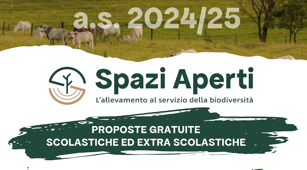 Immagine: Schermata 2024-10-10 alle 00.55.26
