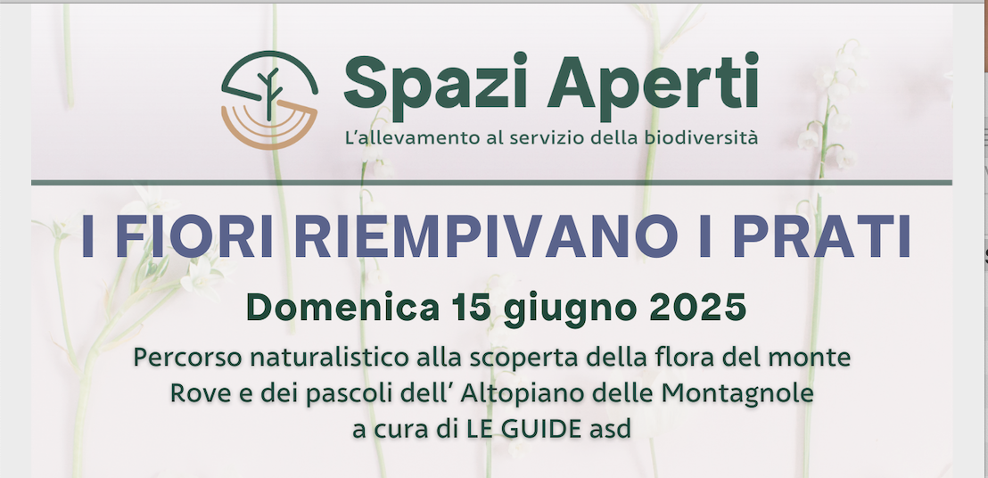 Immagine: Schermata 2025-06-03 alle 14.35.36