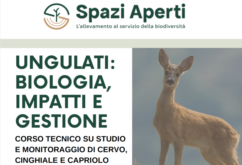 “Ungulati: biologia, aspetti e gestione” corso della rassegna “Spazi Aperti” per tecnici agro forestali