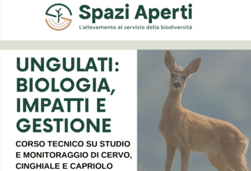 “Ungulati: biologia, aspetti e gestione” corso della rassegna “Spazi Aperti” per tecnici agro forestali “Ungulati: biologia, aspetti e gestione” corso della rassegna “Spazi Aperti” per tecnici agro forestali