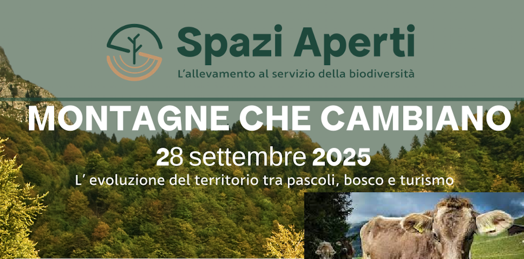 Immagine: SP_ap_montagne_cambiano